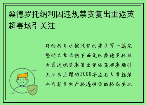 桑德罗托纳利因违规禁赛复出重返英超赛场引关注 桑德罗托纳利因违规禁赛复出重返英超赛场引关注